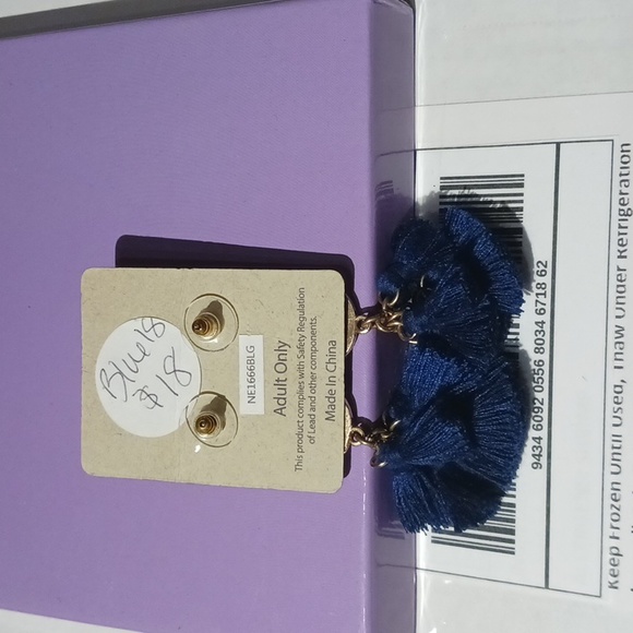 Ruff-Skch Women's Blue Chandelier Tassel Earrings. - Picture 3 of 4
